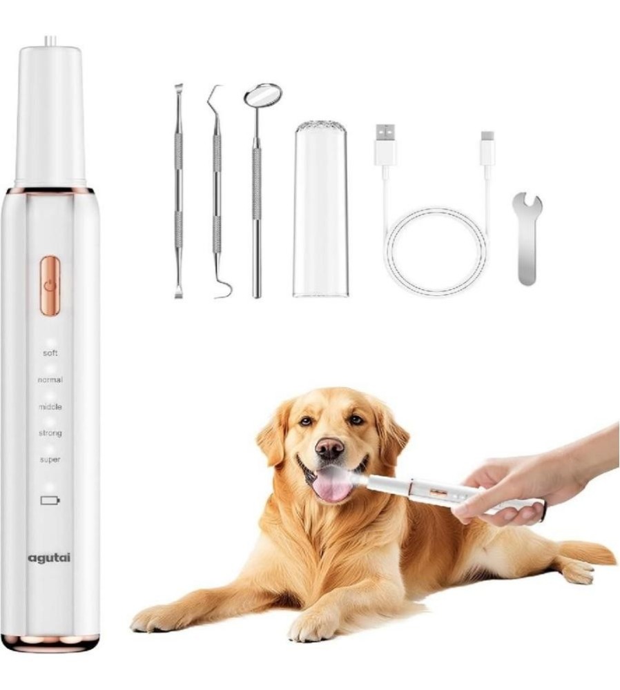 agutai  Dog Plaque···